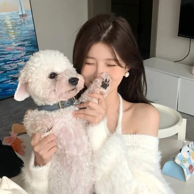 蠢爱三人行封面