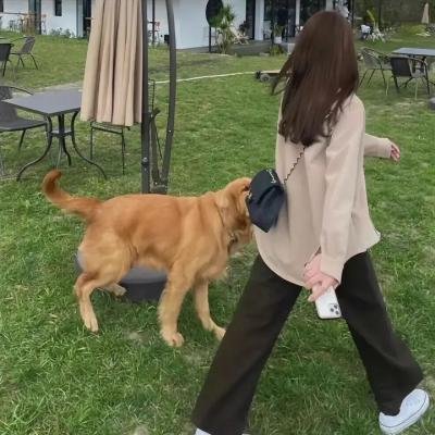 狐狸猎手封面